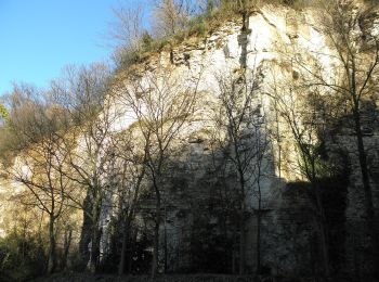 Trail On foot Rovolon - Sentiero dei Carabinieri - Photo