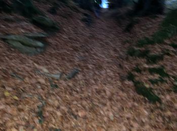 Tocht Stappen Monschau - Monschau  - Photo