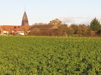 Tour Wandern Seclin - Seclin  - Photo