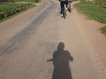 Tocht Wegfiets Vidauban - Vidauban à vélo  - Photo