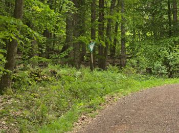 Tour Zu Fuß Püttlingen - Haldenrundweg Südschleife - Photo