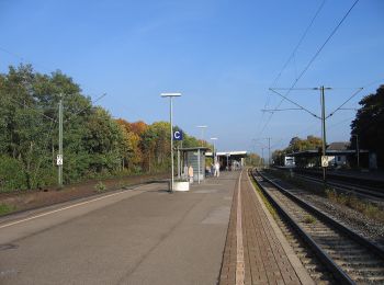 Tocht Te voet Bad Oeynhausen - A2 Bad Oeynhausen-Sielpark - Photo