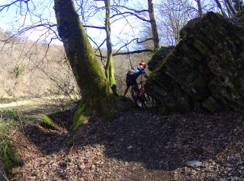 Tour Mountainbike Libin - VTT sur redu - Photo