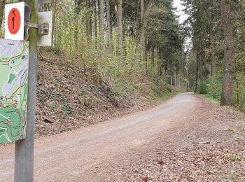 Tour Zu Fuß Aachen - Waldrundweg Orange 6 - Photo