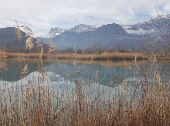 Tocht Stappen Varces-Allières-et-Risset - Les Etangs de Reymure réaménagés en 2023. - Photo