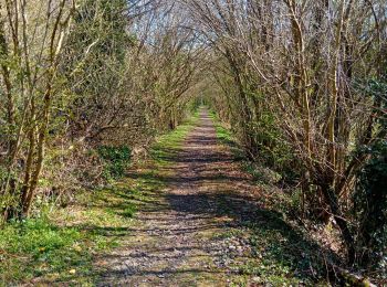 Excursión Senderismo Anthisnes - tavier reco 0425 - Photo