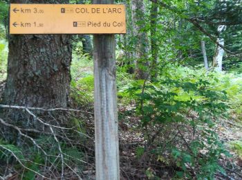 Tocht Stappen Varces-Allières-et-Risset - rocher de l'Ours 2 - Photo