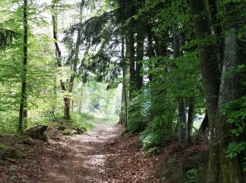 Tour Wandern Theys - PETITE MARCHE AUTOUR DU COL DES AYES - Photo