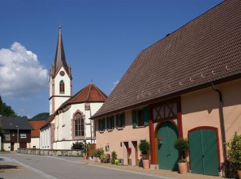 Trail On foot Sulz am Neckar - Glatttalweg - Photo