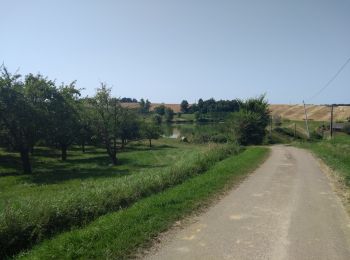 Tocht Mountainbike Lévignac-de-Guyenne - A travers les champs et vergers au sud de Lévignac De Guyenne - Photo