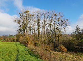 Randonnée Marche Soumagne - Cerexhe-Heuseux _1395 - Photo