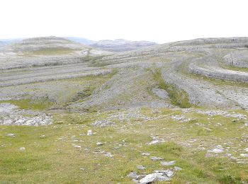 Tour Zu Fuß West Clare Municipal District - Mullaghmore loop red - Photo