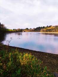 Tocht Stappen Waimes - Du lac aux sources de Quarreux  - Photo