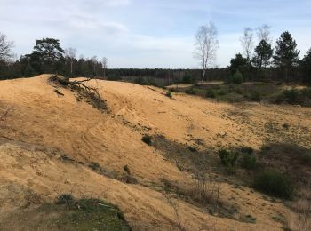 Tocht Stappen Maaseik - Rond Oudberg - Photo