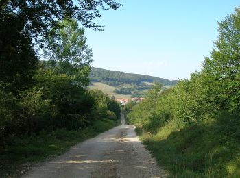 Randonnée A pied Erro - Berraguko Bidea - Photo