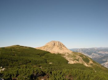 Randonnée A pied Cimone - Sentiero alpinistico del Coraza - Photo