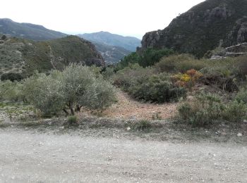 Trail Walking Lentegí - Lentegi 2019 - Photo