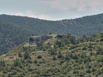 Randonnée A pied Phylé - Φυλή - Σπήλαιο Πανός - Αμυγδαλέζα - Photo