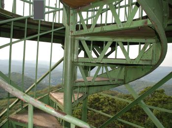 Excursión A pie Gemeinde Perchtoldsdorf - Wien Rodaun - Parapluieberg - Kammersteinhütte und Wiener Wallfahrerweg - Photo