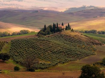 Randonnée A pied Pienza - Pienza - Photo