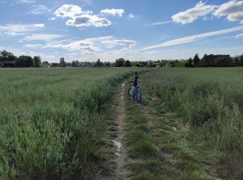 Percorso Mountainbike Auvers-Saint-Georges - Auvers saint Georges - Photo