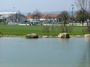 Percorso A piedi Durach - Durach: Schreierwald-Runde - Photo