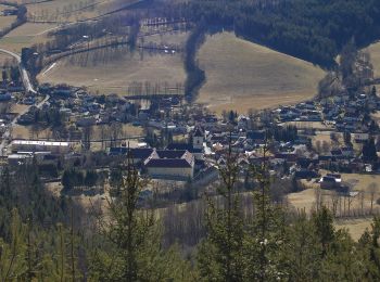 Randonnée A pied Feistritz am Wechsel - Wanderweg Hasleiten - Photo