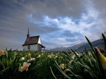 Percorso A piedi Neckertal - Ziegelhütte-Ebersol - Photo