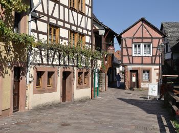 Randonnée A pied Annweiler am Trifels - Kaiser-Friedrich-Weg - Photo