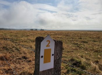 Trail On foot Daverdisse - SityTrail - HF 2 - Sclassin - Photo