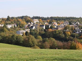 Percorso A piedi Lorch - Wispertaler Krönchen - Photo