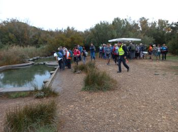 Trail Walking La Palme - La Palme - Photo