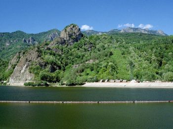 Percorso A piedi Brezoi - gara CFR Lotru - Muchia Urzica - Cabana Cozia - Photo