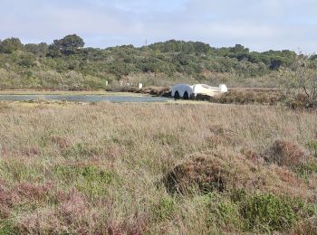 Tour Wandern es Mercadal - Port Addaia to Es Grau - Photo