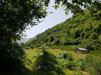 Trail Walking Savignac-les-Ormeaux - cabanes du Najar - Photo