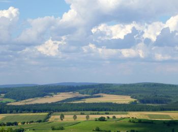 Percorso A piedi Bovenden - Rundwanderweg der Besinnung (UNO-Menschenrechtspfad) - Photo