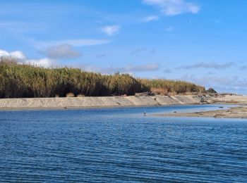 Randonnée Marche Argelès-sur-Mer - Boucle du Mas Larrieu - Photo