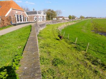 Tocht Te voet Zwartewaterland - WNW IJsseldelta - Hasselt -oranje route - Photo