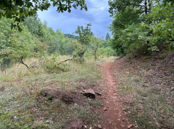 Tocht Stappen Esch-sur-Alzette - Terres Rouges Esch Ellergron 18 km - Photo