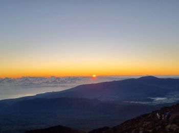 Tocht Stappen Salazie - Jour 7 Piton des neiges - Photo