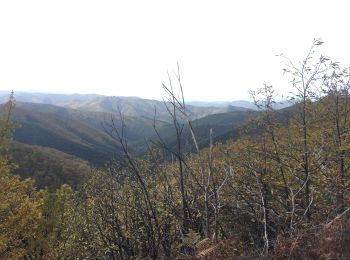 Tour Wandern L'Estréchure - sentier du soult -  - Photo