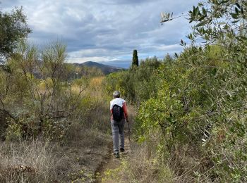 Excursión Senderismo Llançà - Col Perrer Retour Fane Llanca - Photo