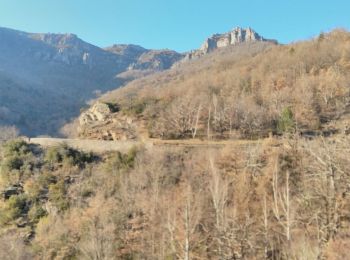 Trail Walking Cans et Cévennes - Le MAZEL GRATTEGAL LE MAZEL - Photo