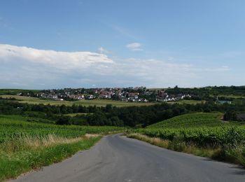 Trail On foot Waldalgesheim - Rhein-Nahe-Schleife - Photo