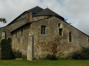 Trail On foot Saint-Philbert-de-Grand-Lieu - Déas - Photo