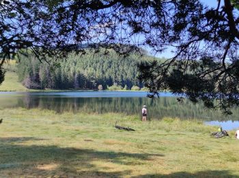 Excursión Bici de montaña Aydat - Les 2 lacs  - Photo