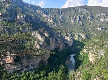 Tocht Stappen Gorges du Tarn Causses - de St Enimie aux Vignes - Photo