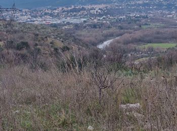 Tour Wandern Lussas - Lussas : Oppidum de Jastre -Camp de Cesar14km. - Photo