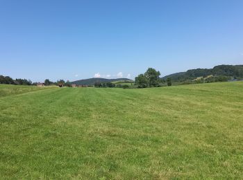 Randonnée Randonnée équestre Saugeot - Jura 3 - Photo