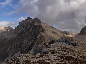 Randonnée Marche Le Dévoluy - Col de Drouillet - Photo